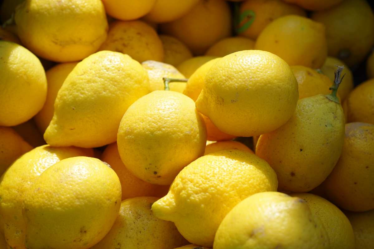 Come conservare limoni muffa